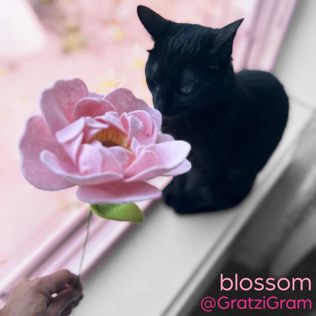 Blossom Gratzi
